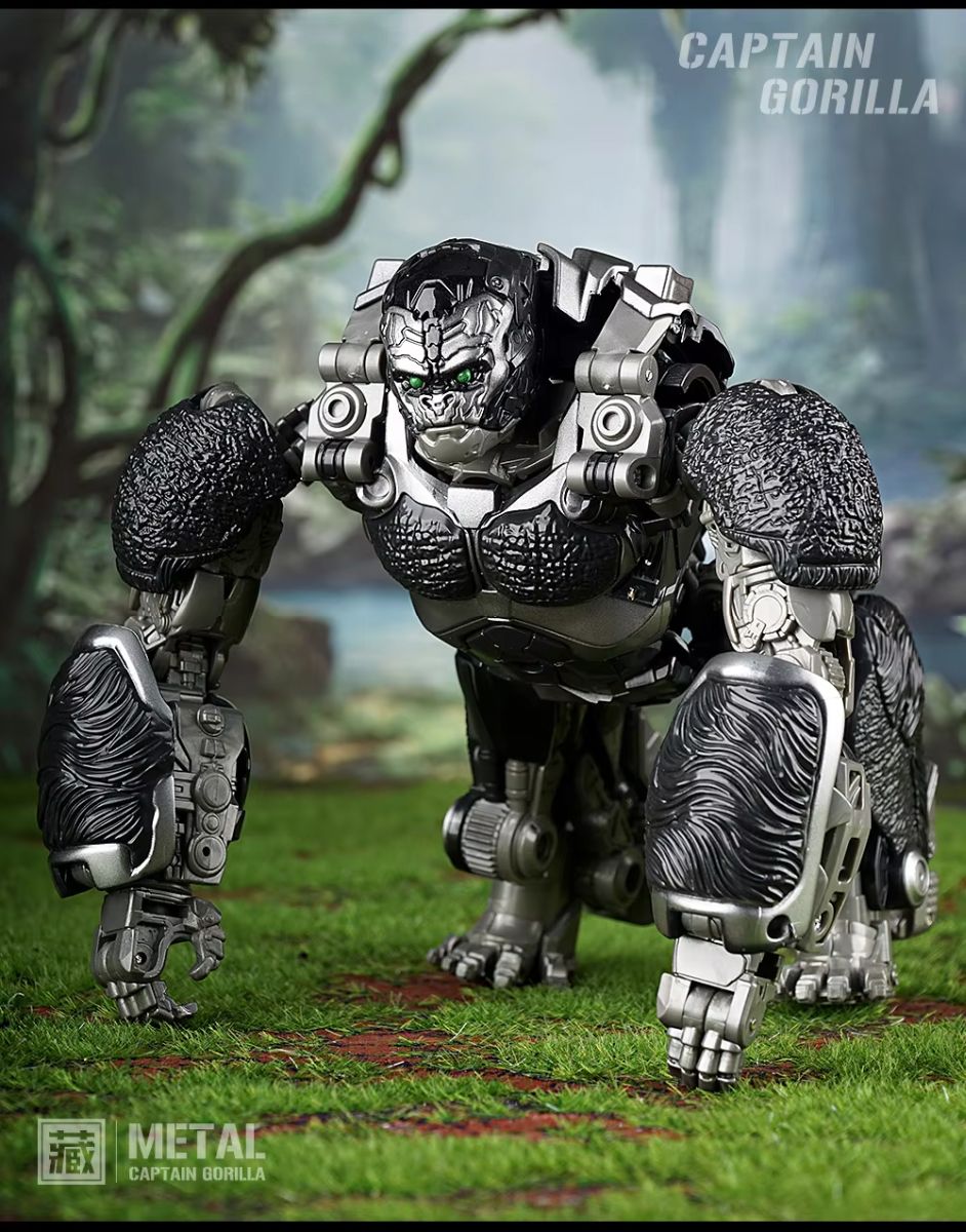 gorilla様 PUBLIC GENERAL143cm gorilla様 PUBLIC GENERAL143cm Kyoto】Gorilla⭐️ safe area